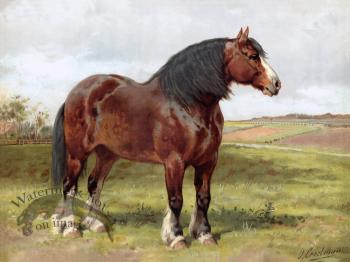 Shire Horse by Eerelman